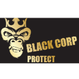 Logo de l'employeur BLACK CORP PROTECT
