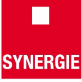 Logo de l'entreprise SYNERGIE