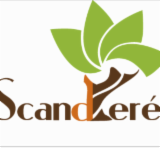 Logo de l'employeur SCANDERE