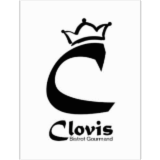 Logo de l'employeur CLOVIS