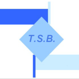 Logo de l'employeur TRANSPORTS SERVICES BOUTOILLE SARL