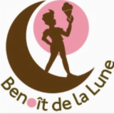 Logo de l'employeur BENOIT DE LA LUNE