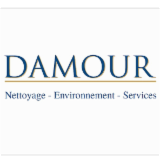 Logo de l'entreprise DAMOUR NETTOYAGE LYON