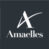 Logo de l'employeur AMAELLES VIVADOM AUTONOMIE