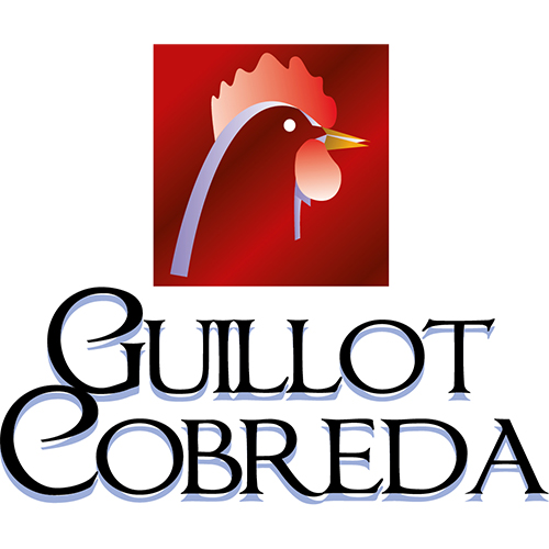 Logo de l'employeur BRESDI