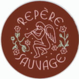 Logo de l'employeur REPERE SAUVAGE