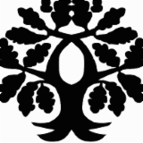Logo de l'employeur CAMPING LA TRUFFIERE
