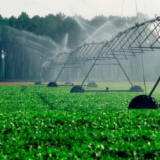 Logo de l'employeur SOCIETE CIVILE D'EXPLOITATION AGRICOLE D