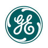 Logo de l'employeur GE ENERGY PRODUCTS FRANCE SNC