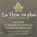 Logo de l'employeur LA FLEUR EN PLUS