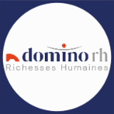 Logo de l'employeur DOMINO MISSIONS LYON NORD-SUD