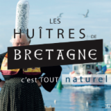 Logo de l'employeur CELTOSTREA