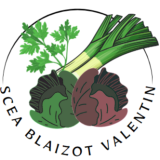 Logo de l'entreprise SCEA BLAIZOT VALENTIN