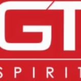 Logo de l'entreprise GT SPIRIT