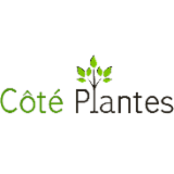 Logo de l'employeur COTE PLANTES