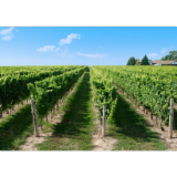 Logo de l'employeur EARL LE PEROU