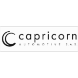 Logo de l'employeur CAPRICORN AUTOMOTIVE