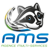 Logo de l'employeur AGENCE MULTI SERVICES