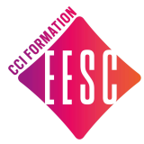 Logo de l'employeur ECOLE D ENSEIGNEMENT SUPERIEUR CONSULAIR