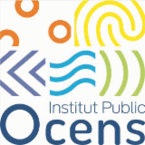 Logo de l'employeur INSTITUT PUBLIC OCENS