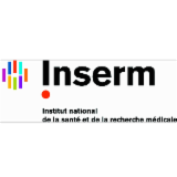 Logo de l'entreprise INSERM A.D.R. 04