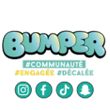 Logo de l'employeur BUMPER STORE