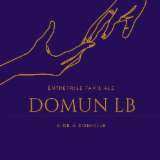 Logo de l'employeur DOMUNLB